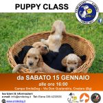 PUPPY CLASS – percorso cuccioli da sabato 15 gennaio 2022