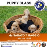 PUPPY CLASS – percorso cuccioli da sabato 21 maggio 2022