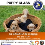 PUPPY CLASS – tutto il modo del cucciolo